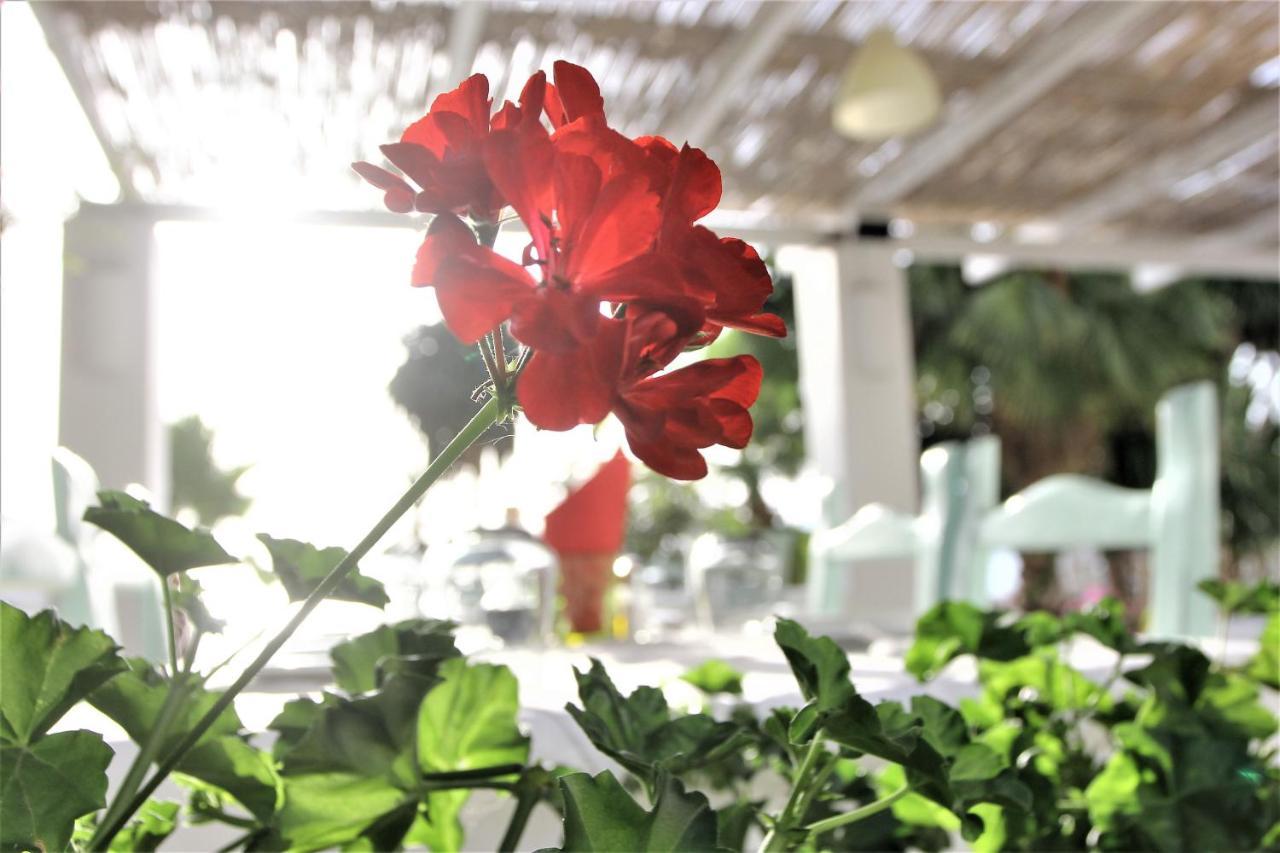 Saranda Hotel Extérieur photo